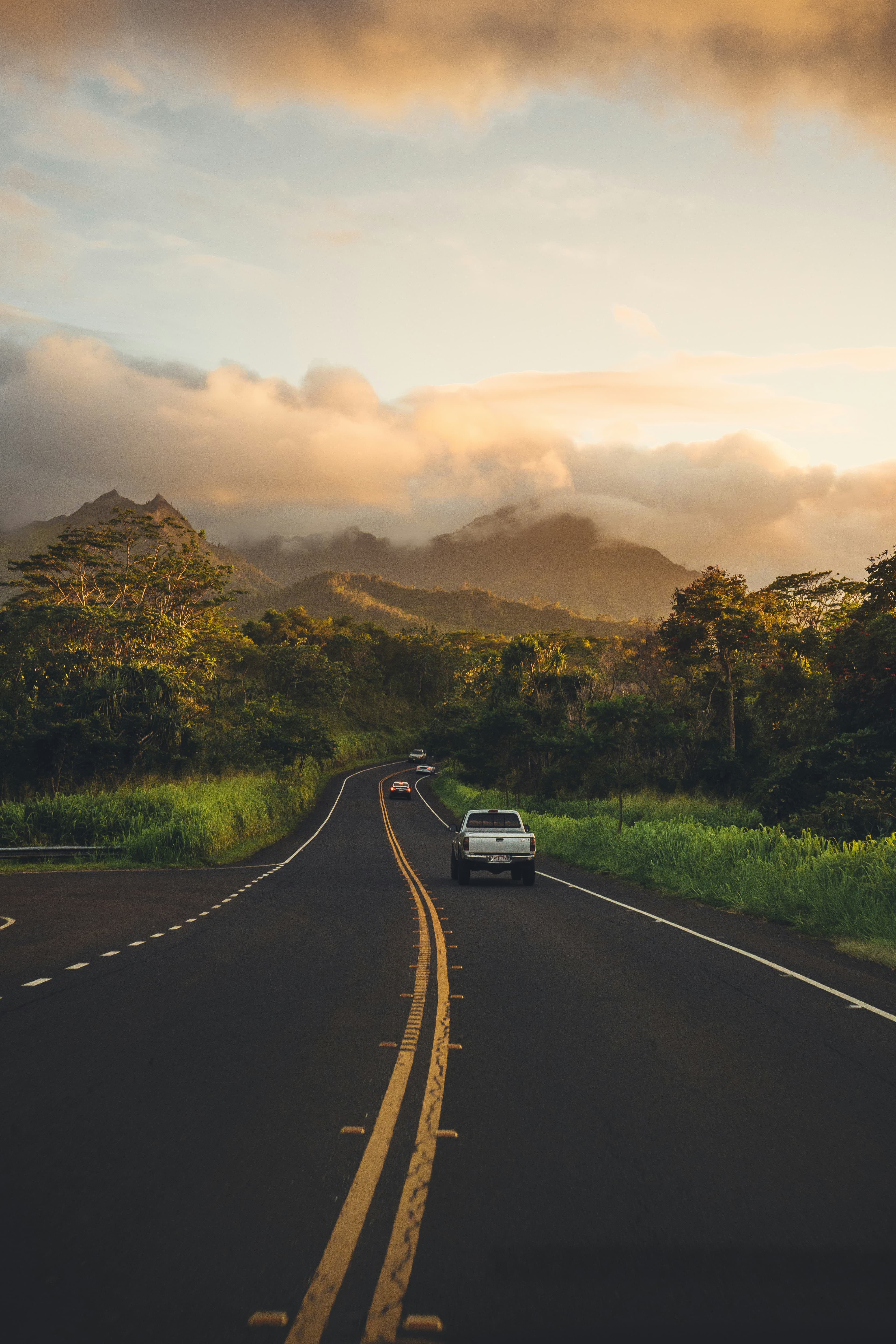 Cars descending a misty mountain road at golden hour, dense forest either side